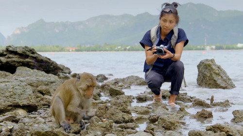 Nature Season 39 Episode 5 - Primates 03: Protecting Primates