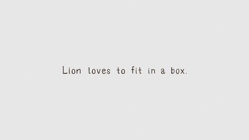 Lion Loves to Fit in a Box still