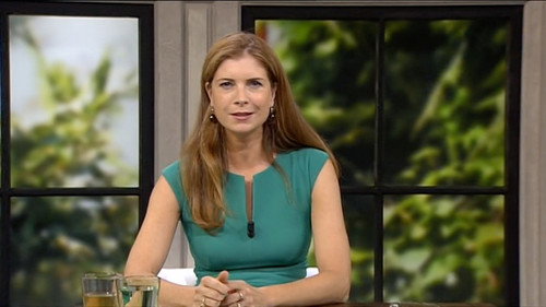 Buitenhof Season 19 Episode 26 - Episode 26