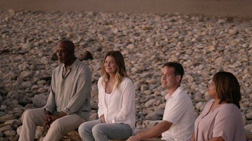 Grey's Anatomy Season 17 Episode 4 - You'll Never Walk Alone