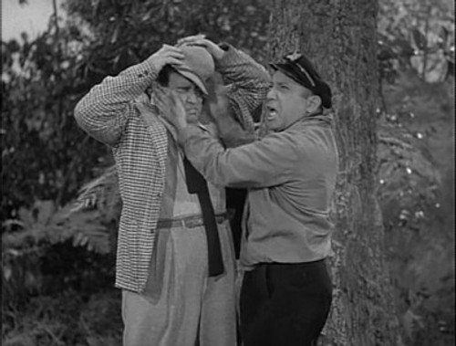 The Abbott and Costello Show Season 1 Episode 26 - Safari