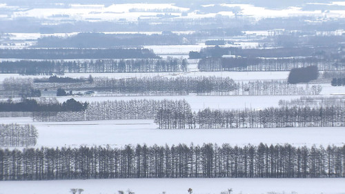Wild Hokkaido! Season 3 Episode 7 - Tokachi Plain in Winter