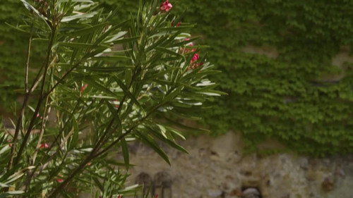 Natur im Garten Season 25 Episode 7 - Episode 7