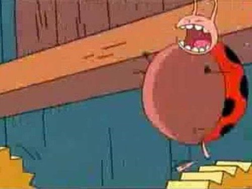 The Cuckoo Clock still