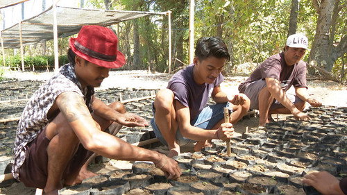 Asia Insight Season 10 Episode 1 - From Tourism to Farming