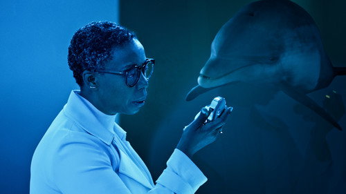 undefined Season 1 Episode 5 - I Want a Lawyer