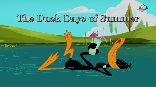 The Duck Days of Summer still