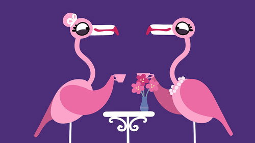 Animanimals Season 1 Episode 15 - Flamingo