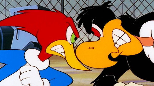 The New Woody Woodpecker Show Season 1 Episode 34 - Mirage Barrage