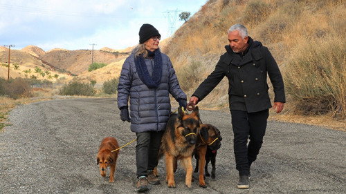 Cesar Millan: Better Human, Better Dog Season 1 Episode 2 - One Brick at a Time