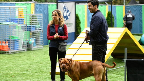 undefined Season 1 Episode 1 - Forever and a Dog