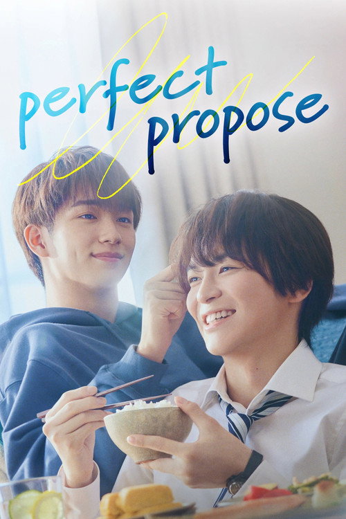 Perfect Propose poster