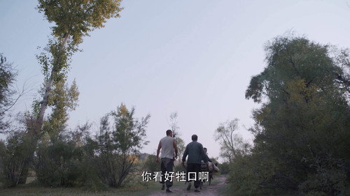 White Deer Plain Season 1 Episode 23 - Episode 23