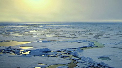Wildest Arctic Season 1 Episode 1 - Arctic Ocean: The Frozen Sea