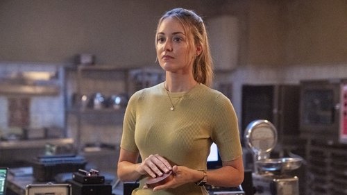 FBI: International Season 4 Episode 4 - The Unwinnable War