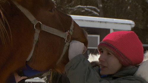 The Incredible Dr. Pol Season 11 Episode 10 - Dairy Poppins