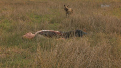 Wild at Heart Season 4 Episode 9 - Episode 9