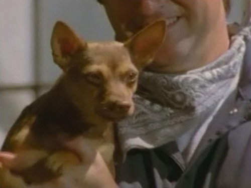 Power Rangers Season 10 Episode 33 - The Soul of Humanity