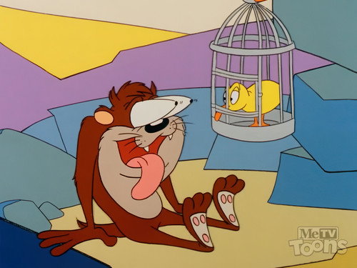 Taz-Mania Season 4 Episode 12 - Bird-Brained Beast