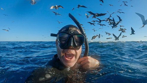 Deadly 60 Season 5 Episode 1 - Braving the Bait Balls