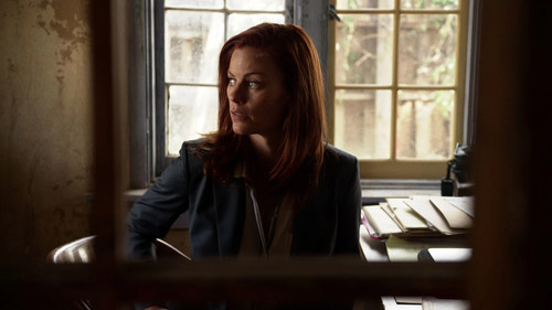 Longmire Season 6 Episode 7 - Opiates and Antibiotics