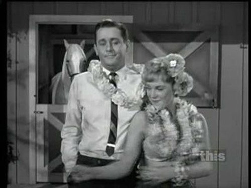 Mister Ed Season 2 Episode 4 - Ed the Redecorator