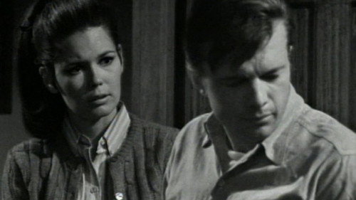 DS-220 still
