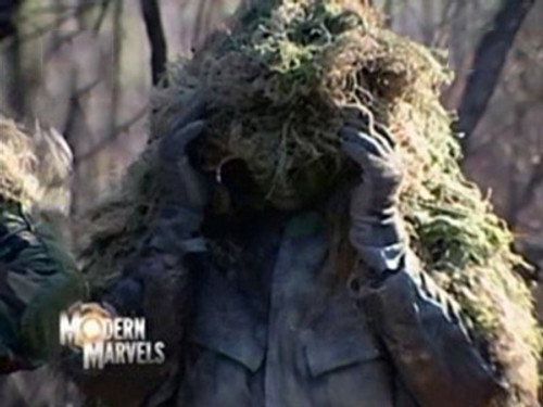 Camouflage still