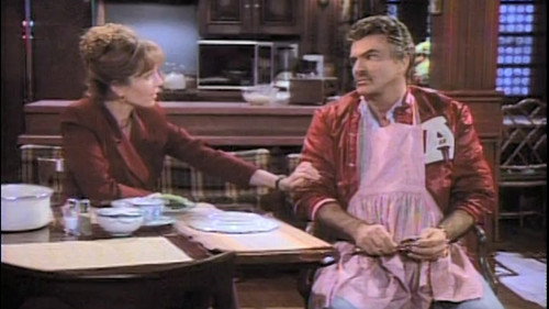 Evening Shade Season 1 Episode 9 - Mr. Mom