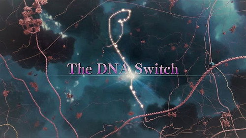 Dynamic Genomes Season 1 Episode 2 - The DNA Switch