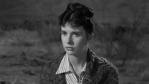Rawhide Season 1 Episode 9 - Incident of the Town in Terror