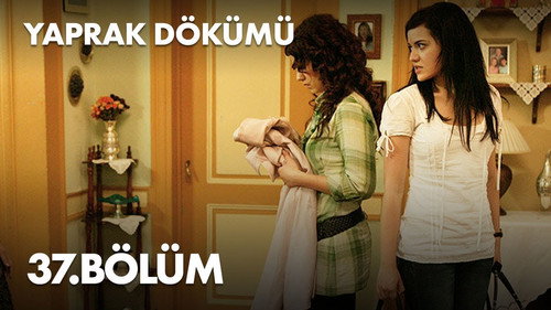 Falling Leaves Season 1 Episode 37 - Episode 37