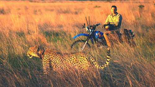 Deadly 60 Season 6 Episode 1 - Cheetah Special