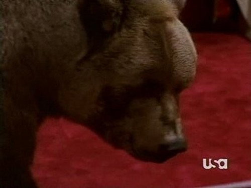 Nash Bridges Season 6 Episode 11 - Bear Trap