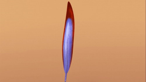 Dinosaur Train Season 1 Episode 13 - Now with Feathers!