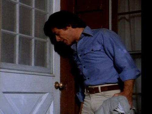 The Incredible Hulk Season 2 Episode 5 - A Child in Need