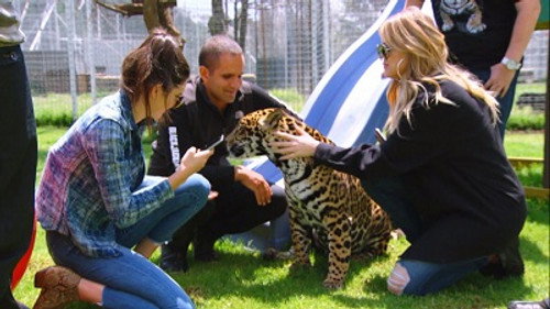 Keeping Up with the Kardashians Season 11 Episode 5 - Lions, Tigers and Texts