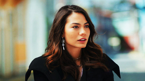 Erkenci Kuş Season 1 Episode 37 - Episode 37