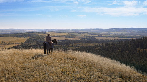 Heartland Season 18 Episode 3 - You Can Lead a Horse to Water