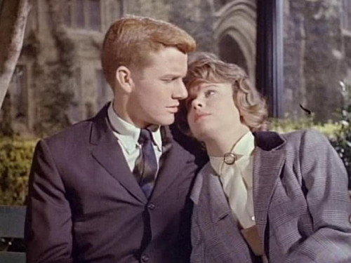 Hazel Season 2 Episode 14 - Hazel and the Lovebirds