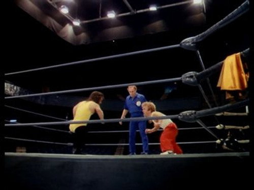 The Incredible Hulk Season 4 Episode 16 - Half Nelson