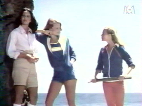 Charlie's Angels Season 4 Episode 12 - Angel Hunt