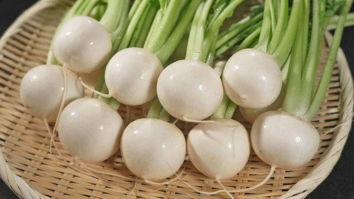 Trails to Oishii Tokyo Season 7 Episode 2 - Turnip