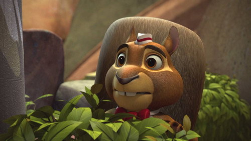 The Wild Adventures of Blinky Bill Season 1 Episode 13 - Notions Eleven