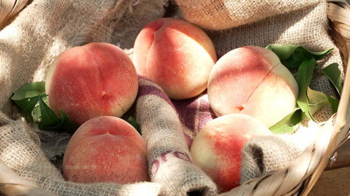 Trails to Oishii Tokyo Season 7 Episode 15 - Peaches