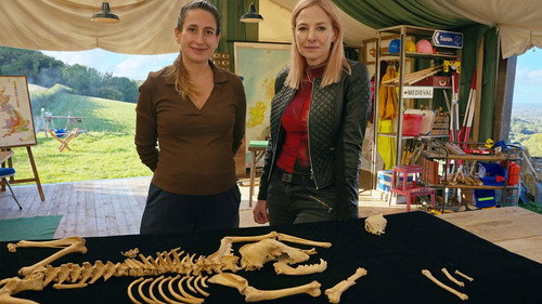Digging for Britain Season 13 Episode 5 - Medieval Murder and Roman Pets
