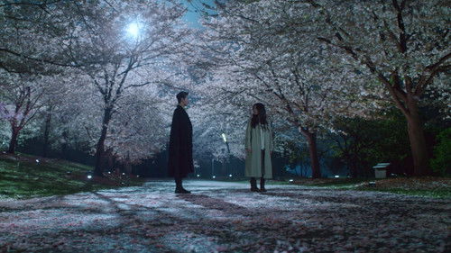 Love Between Lines Season 1 Episode 13 - A Safe Harbor for the Soul