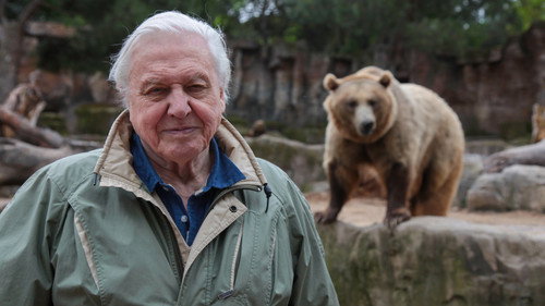 David Attenborough's Natural Curiosities Season 4 Episode 1 - Animal Frankensteins