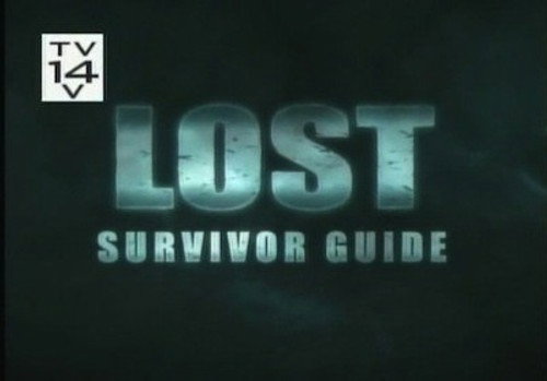Survivor Guide still