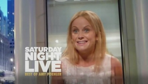 The Best of Amy Poehler still